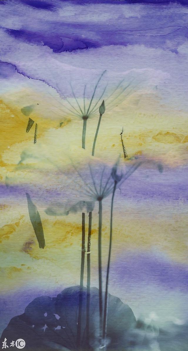 当荷花与儿童水彩涂鸦碰在一起时，画面如此惊艳