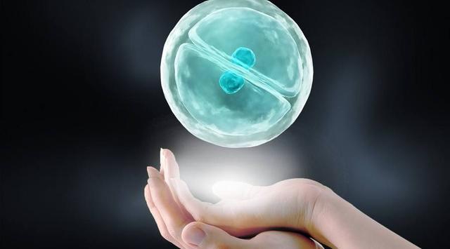 明星频怀双胞胎，只因这两种常见方法，孩子来得快但妈妈伤身体