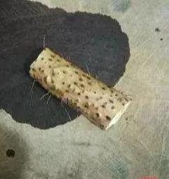 这几种粥适合孩子秋冬时候吃，少生病，大家还在为的辅食发愁？