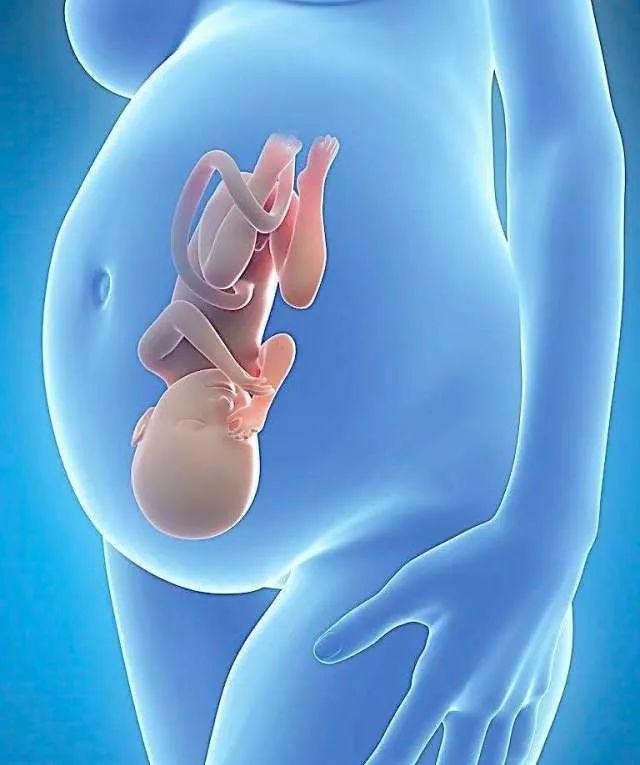 剖腹产生出来的女孩更容易胖？网友：终于找到原因了