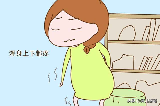 辟谣：孕期必须一整夜保持左侧睡？揭开孕期左侧睡的“骗局”