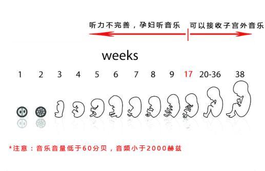 音乐胎教什么时候开始？90%孕妈都陷入这两个错误观念