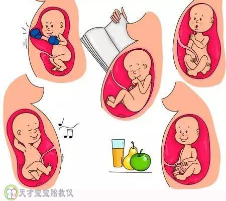 胎儿不是只会睡觉和踢腿！孕妈肯定猜不到，胎儿学会了这么多本领