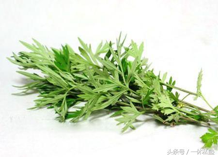 小儿拉肚子的辨证与护理