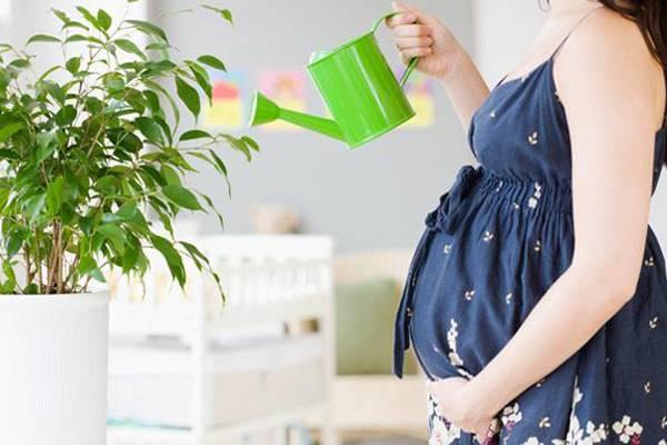 有什么有的人怀孕后孕吐很强烈？原来和胎儿的体质有关！