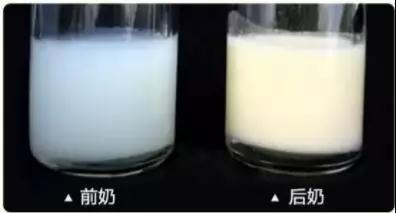 预防流感，除了接种疫苗，母乳妈妈还要看母乳质量！