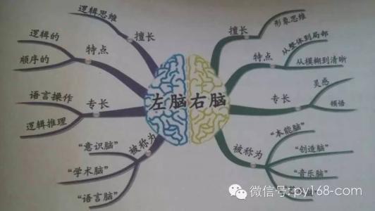 教孩子过目不忘的本领