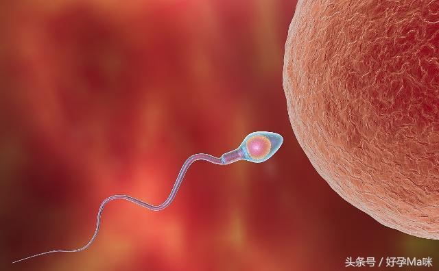 备孕期间，男人“精子”若有3种表现，可能会备孕“失败”