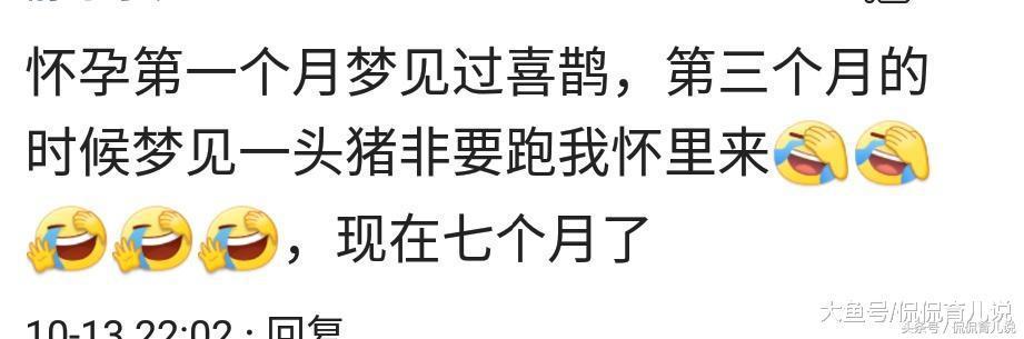 你做过好玩的胎梦吗？宝妈：孕期梦到1头猪非跑我怀里，把我吓坏了！