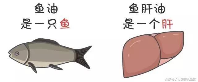 还分不清鱼肝油和鱼油？一张图帮你分清楚，作用也是大大不同的