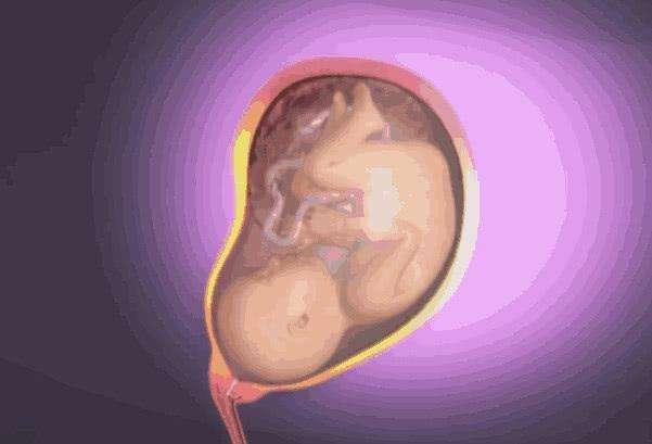 亲身经历：孕妇顺产到底有多痛？犹如断10根肋骨！你还敢结婚吗？