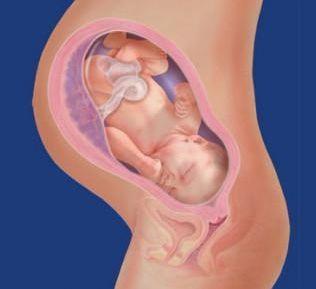 过来人：这3种产妇，产科医生最喜欢，宫口开的快孩子更安全