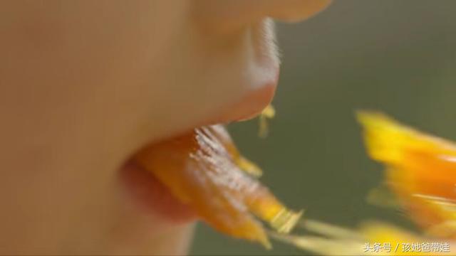 柿饼上的白霜，其实不是防腐剂！争论多时的难题终于有答案了