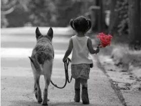 《妈妈的空位》看后很多人哭了，包括我！