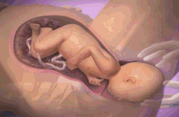 亲身经历：孕妇顺产到底有多痛？犹如断10根肋骨！你还敢结婚吗？