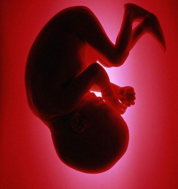 顺产时为减轻妈妈痛苦，宝宝也会努力做这3件事，看完满满感动！