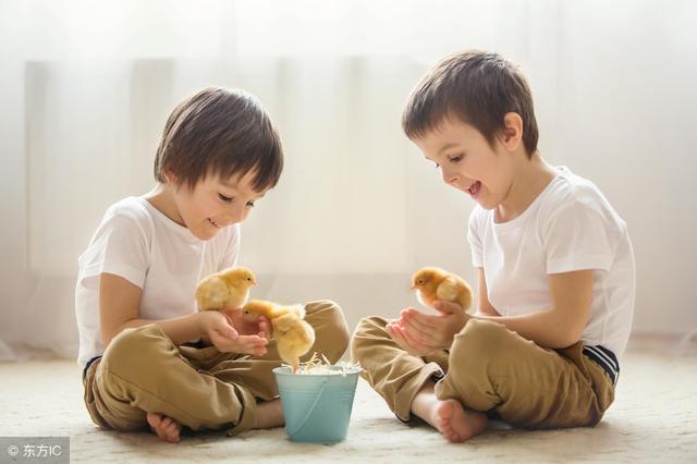 孩子在幼儿园被同伴打了，如何做个理智的家长？