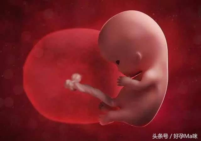这位孕妈就因为做了件粗心事，好不容易怀上的孩子却要打掉