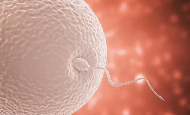 一般“生育能力”较强的男人，身体或许会有4个特点，你占几个？