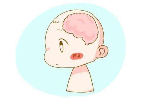 孩子一生一次的大脑发育高峰期，错过之后就难以弥补