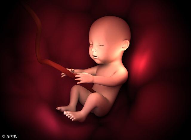 孕妈妈睡着了腹中胎儿会做什么？