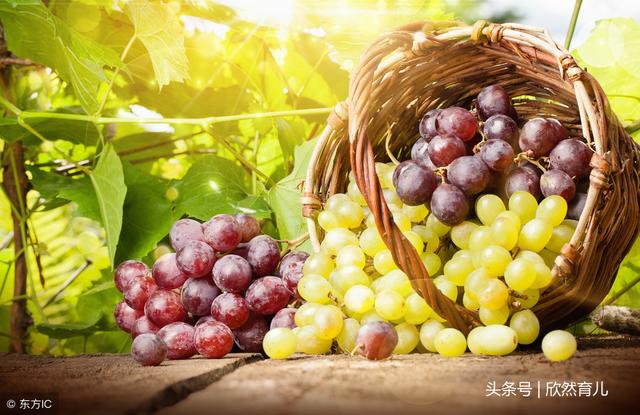 孕期吃对水果，宝宝漂亮又可爱