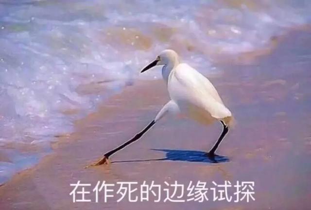 一胎照书养，二胎随便养