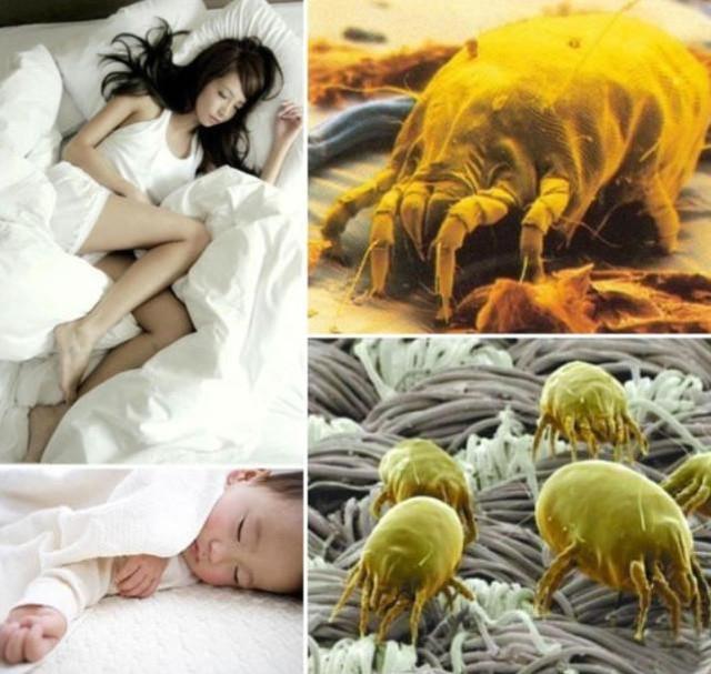 秋季孩子咳嗽老不好，不只是因为着凉，更多原因竟然藏在家里！