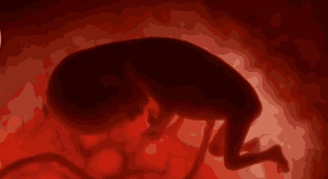 胎宝这时开始变的“贪吃”，许多孕妈不知道，等出生后挑食就晚了