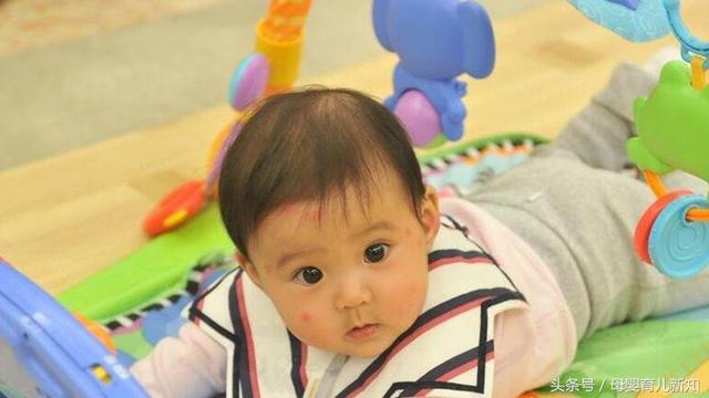 蚊子为什么都比较中意宝宝呢？2招教你防蚊，做好宝宝的小蚊帐