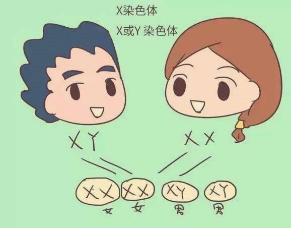 一心想要个“大胖小子”？备孕期间戒掉“它”，概率会大很多！