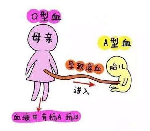 见过“三观不合”分手，没见过“血型不合”伤胎，别闹，这是真的