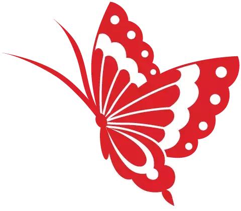 当你假装丢下孩子离开，孩子到底失去了什么？