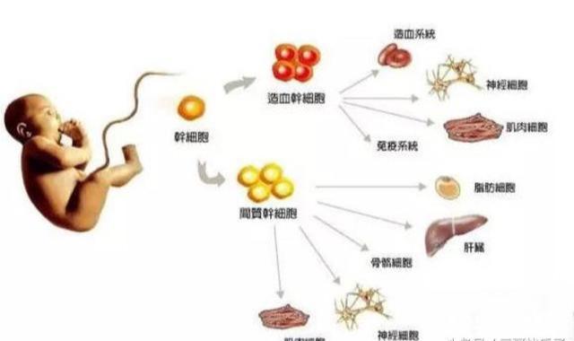 孩子的这两样东西要留好，以后对孩子可能有大用处