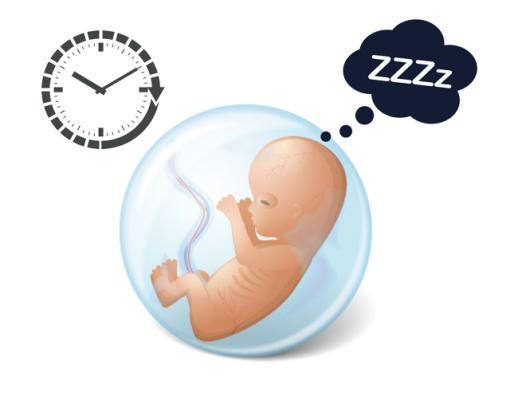 孕妇什么时候听胎教音乐