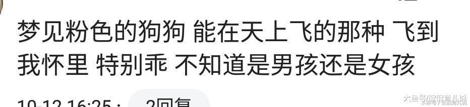 你做过好玩的胎梦吗？宝妈：孕期梦到1头猪非跑我怀里，把我吓坏了！