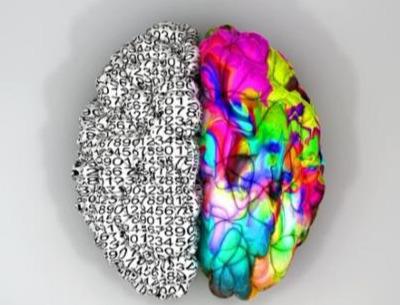 测一下自家孩子右脑发育水平