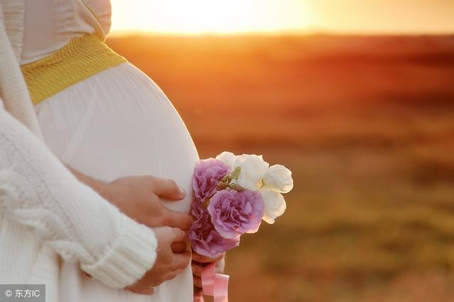 胎儿的性别，是受什么影响而来的？