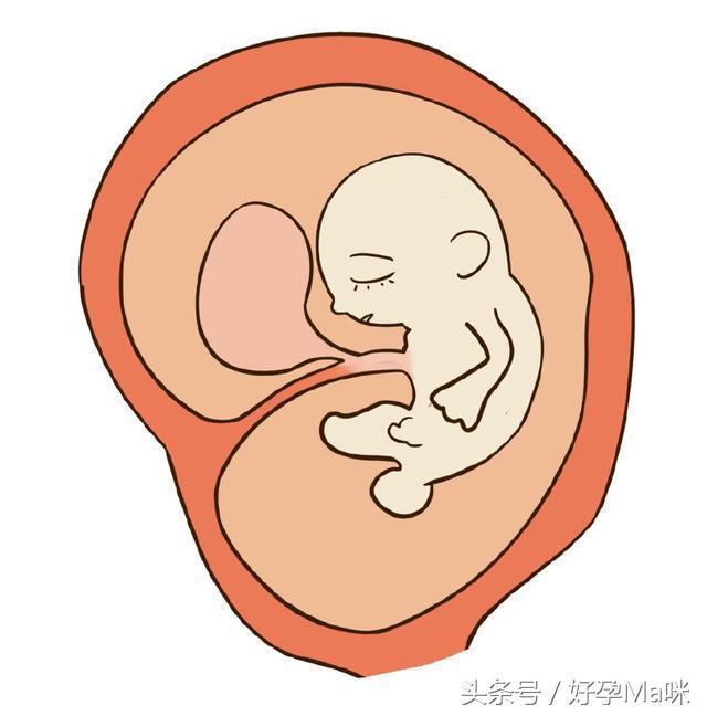 孕妈想吃火锅，胎儿感受你知道吗，孕妈必须了解
