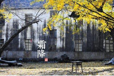 “一年补透透，不如补霜降”，妈妈每天多3事，孩子冬天少生病！
