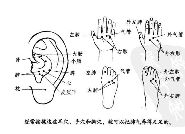 官宣！孩手里有个“止咳开关”，家长轻按一下，孩子咳嗽好得快！