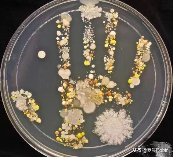 儿童洗手液检出禁用成分，你还敢给孩子用吗？