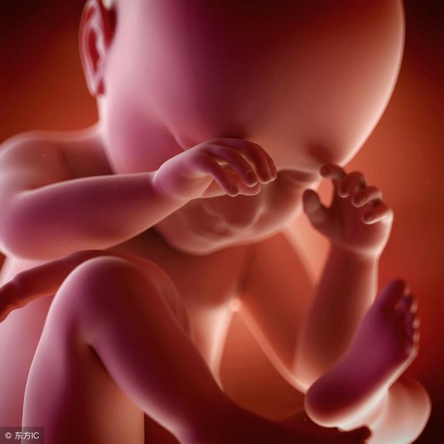 胎宝宝有这3个特点，说明他健康身体好，孕妈妈可以把心放肚里