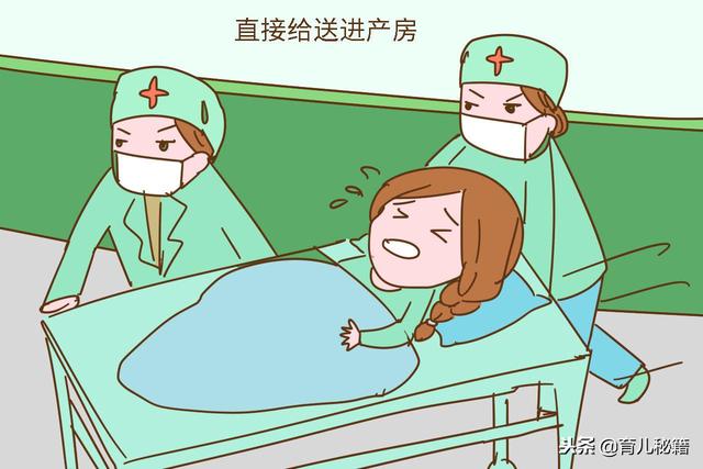怀孕后就是宝儿？生娃前几天才请假的人多了去，人艰不拆