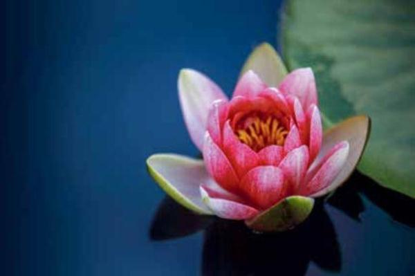 你有被宝宝“忽悠”的经历吗？