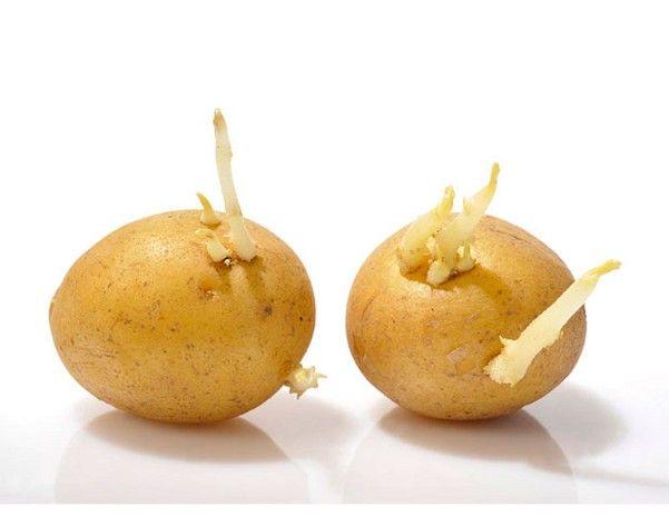 孕妇要尽量少吃这3种食物，以免引起“宫缩”，你常吃吗？