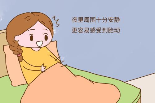 胎儿夜里胎动的频繁？在干啥？网友：胎儿在做几件你不知道的事！