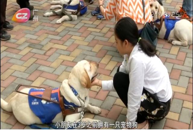 怀孕我先扔个狗？钟南山团队：建议各位家长尽早养猫养狗！