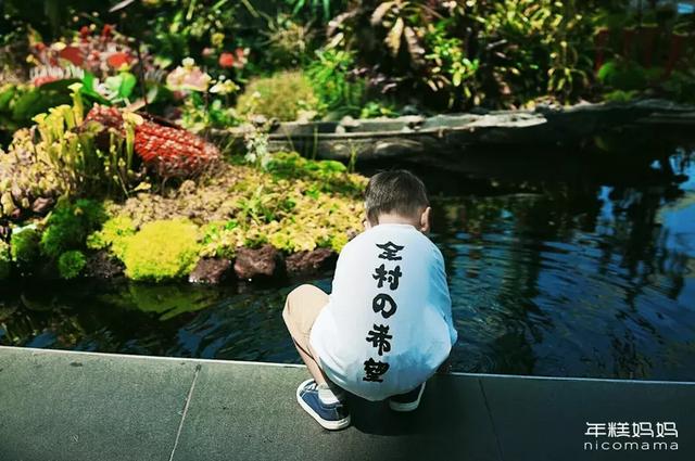 宝宝多大应该分房睡？最晚别超过这个年龄