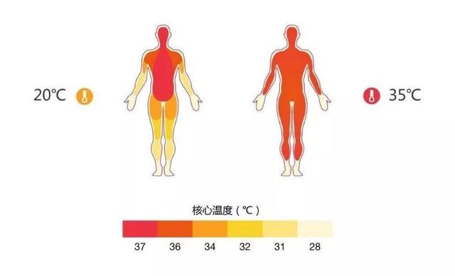 能自己发热的婴儿绒保暖袜，双脚藏在“小暖炉”里，湿冷的南方冰冷的北方，统统都不怕！